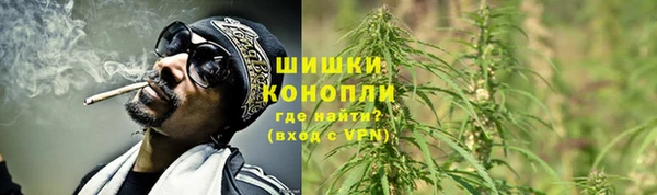PSILOCYBIN Абаза