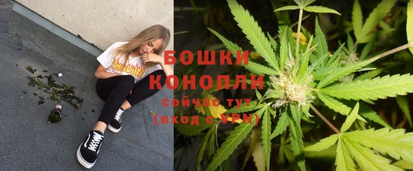 PSILOCYBIN Абаза