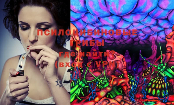 PSILOCYBIN Абаза