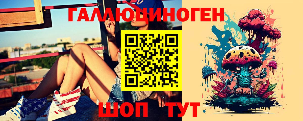 Урус-Мартан  Галлюциногенные грибы Cubensis  Вход с VPN 